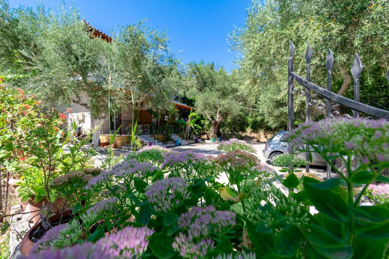 Studios Anna Κερί Εξωτερικό φωτογραφία